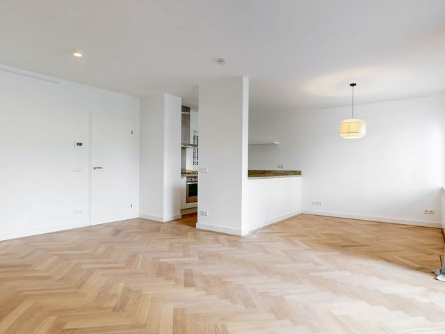 Troelstraplein 11, Leiden