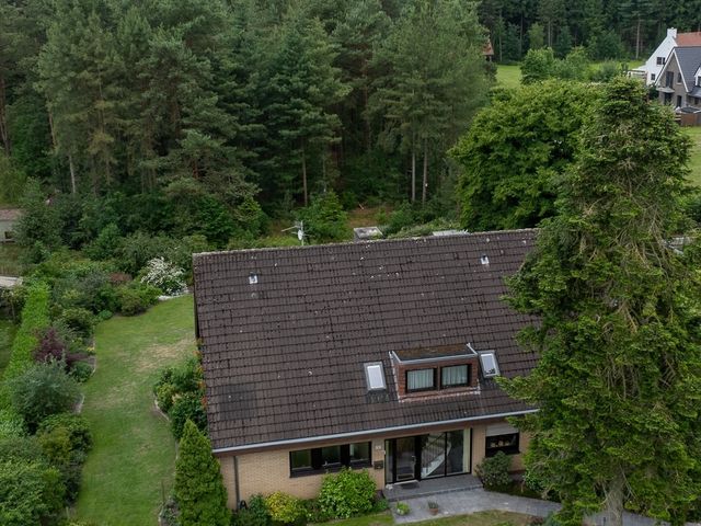 Springorumstraße 23  , Wielen