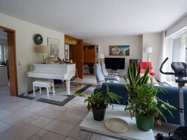 Springorumstraße 23  , Wielen