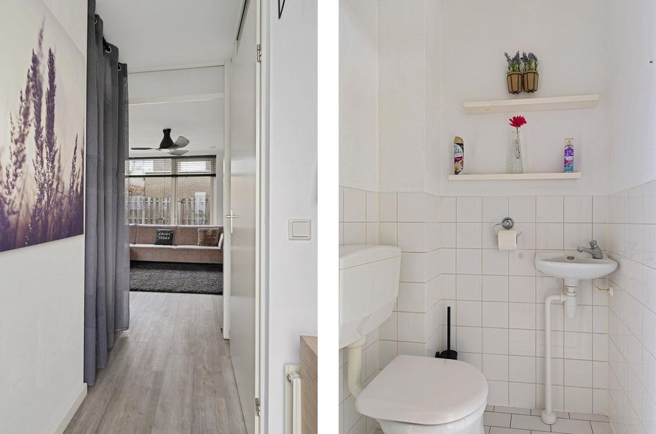 Catharina van Renneshof 14