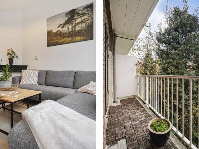 Erasmusgracht 55 1, Amsterdam