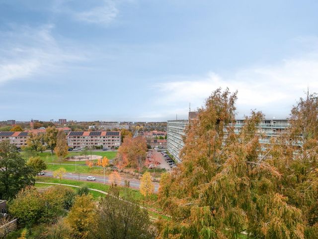 Ganzenstraat 110, Amersfoort