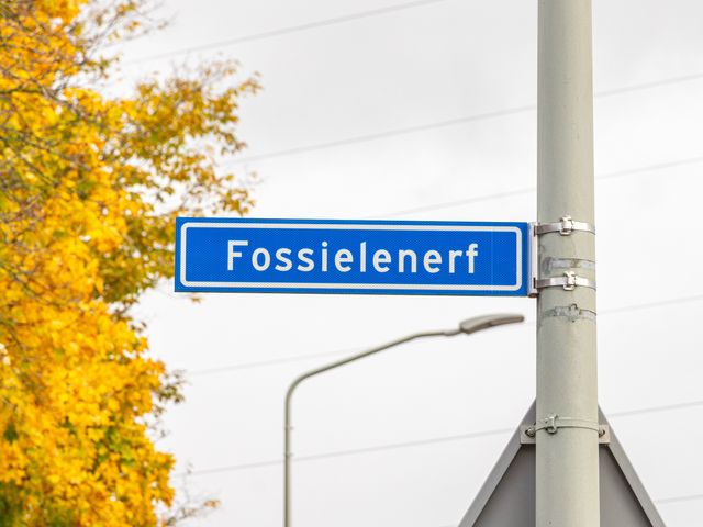 Fossielenerf 654, Heerlen