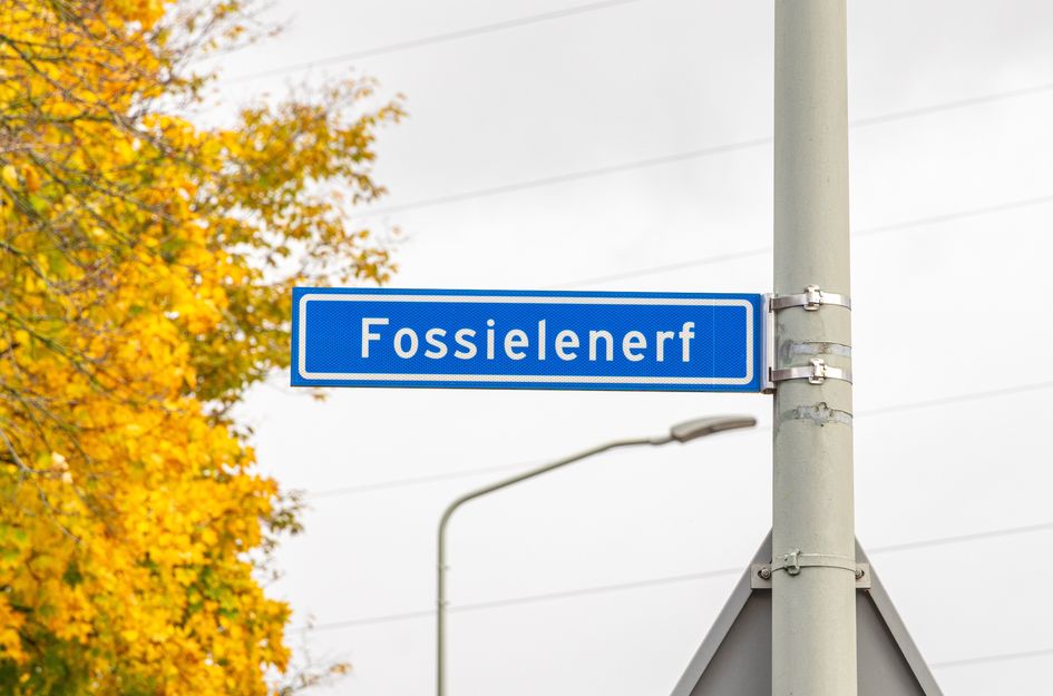 Fossielenerf 654