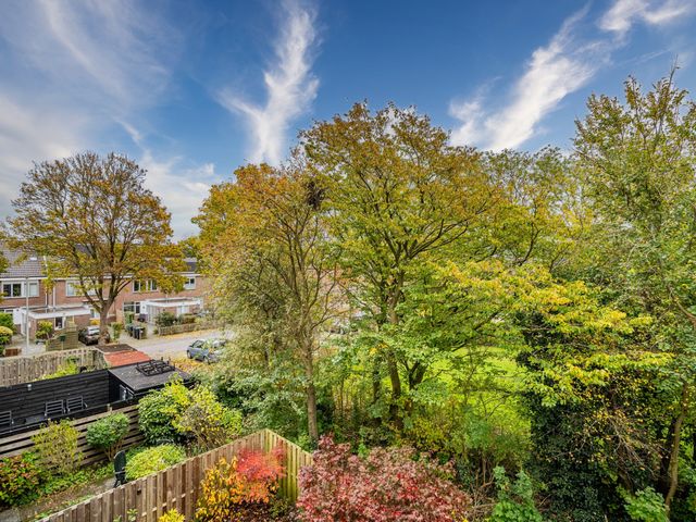 Bolderikkamp 39, Leiderdorp