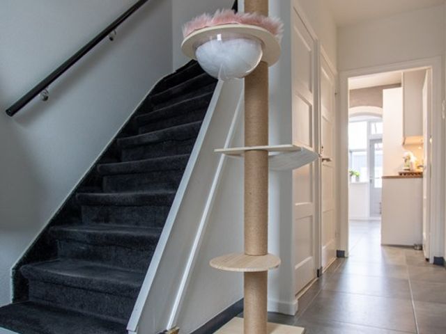 Antonie Morostraat 17, Eindhoven