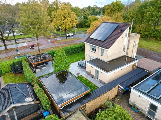 Groene Zoom 26, Roden