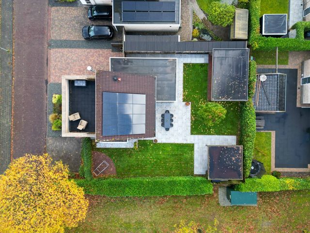 Groene Zoom 26, Roden