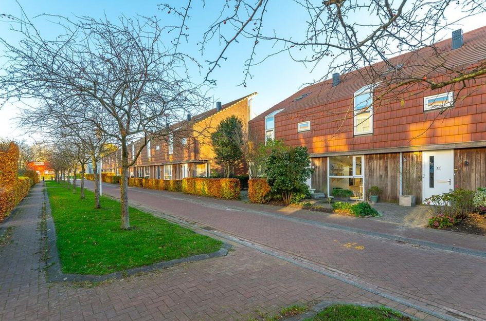 Moeraszegge 8