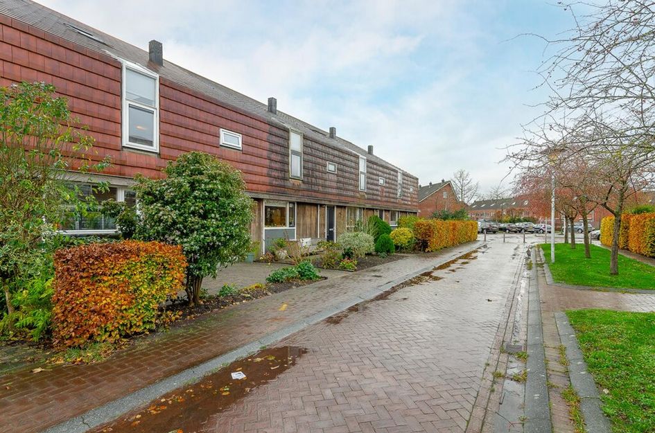 Moeraszegge 8