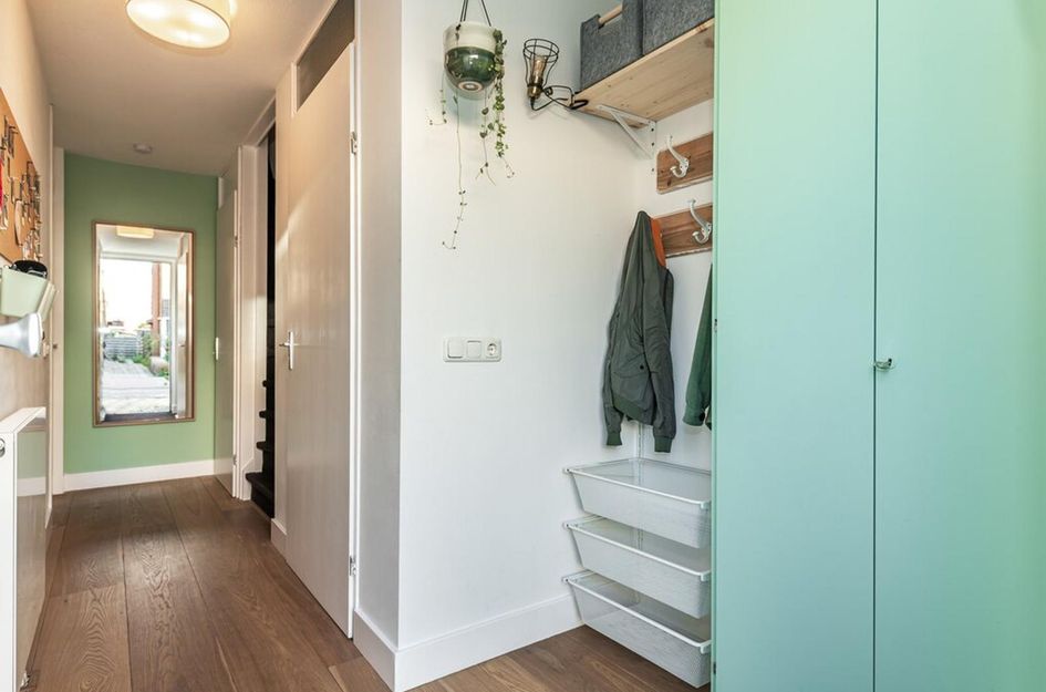 Moeraszegge 8