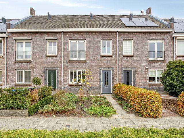 Honingeter 27, Dirksland