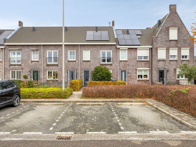 Honingeter 27, Dirksland