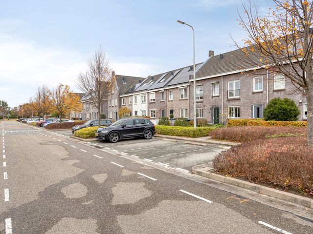 Honingeter 27, Dirksland