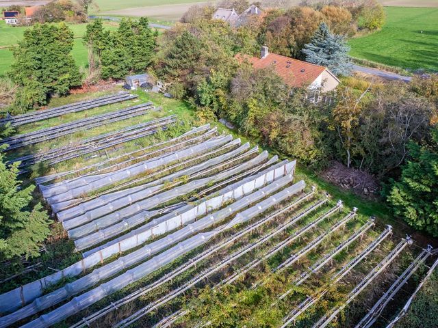 Kogerweg 151, Den Burg