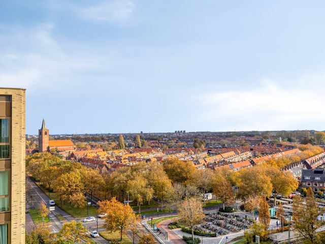 Mangoweg 265, Leiden