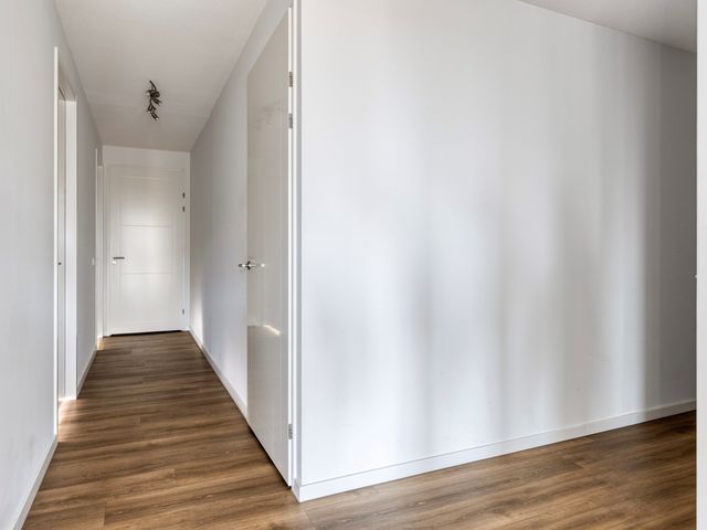 Mangoweg 265, Leiden