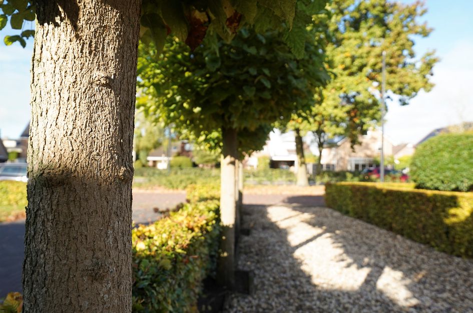 Voorthuizerstraat 17