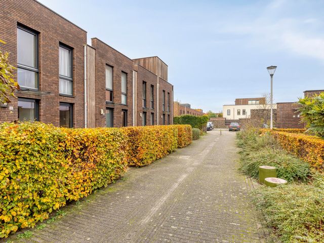 Wolvegastraat 98, Tilburg