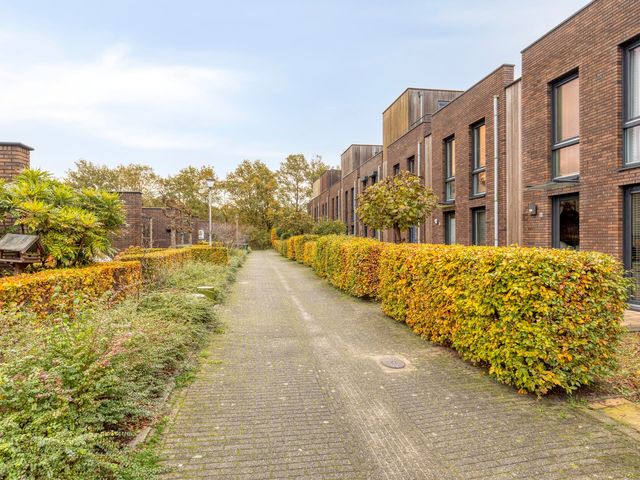 Wolvegastraat 98, Tilburg