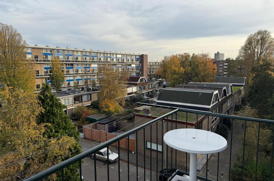 Roemer Visscherstraat 252