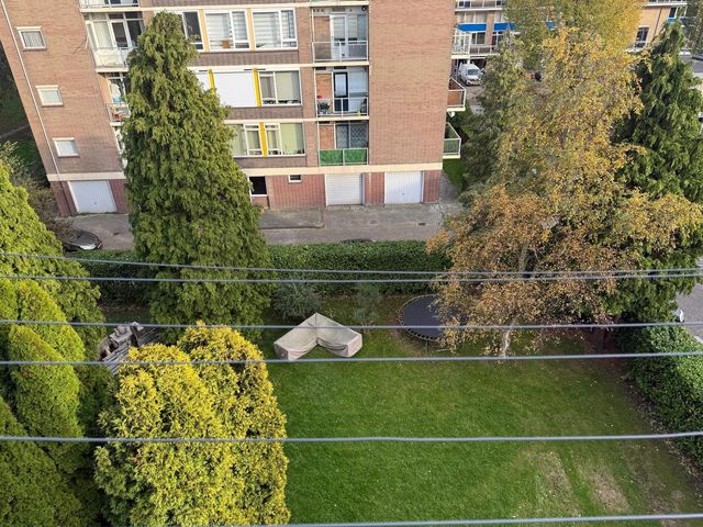 Roemer Visscherstraat 252, Vlaardingen