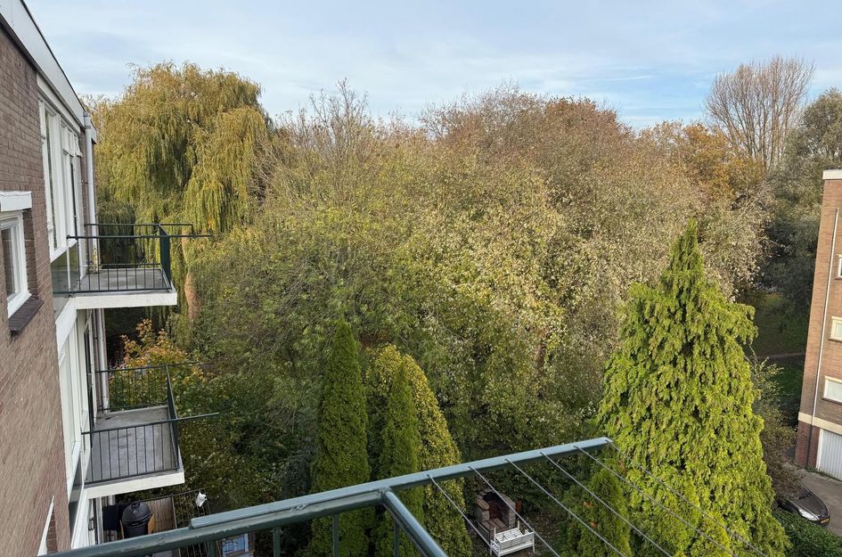 Roemer Visscherstraat 252