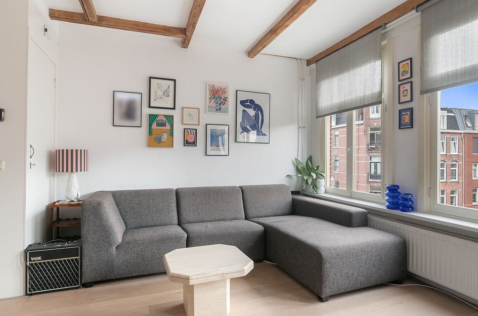 Lodewijk Tripstraat 15 3