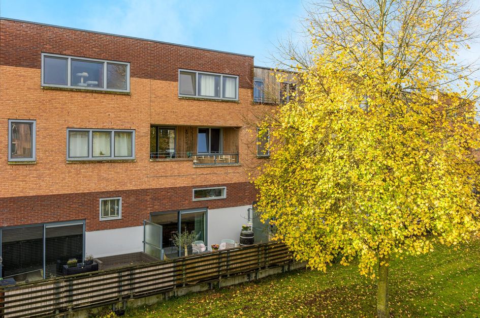 Emily Brontësingel 125