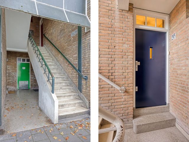 Soestdijksekade 295, Den Haag