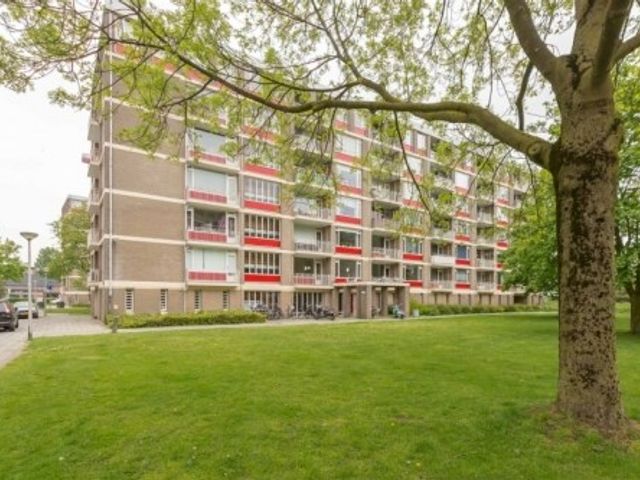 Ringweg Randenbroek , Amersfoort