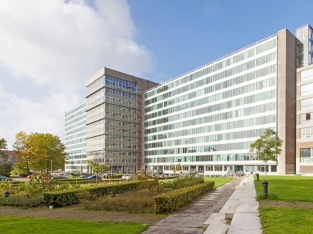 Bos en Lommerplantsoen , Amsterdam