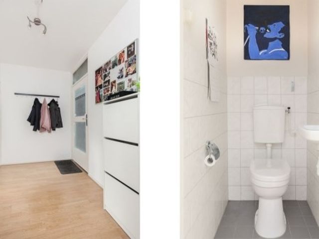 Bos en Lommerplantsoen , Amsterdam