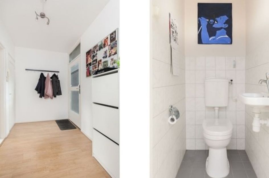 Bos en Lommerplantsoen 