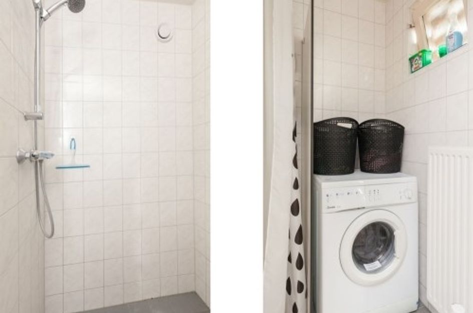 Bos en Lommerplantsoen 