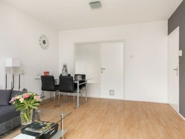 Bos en Lommerplantsoen , Amsterdam