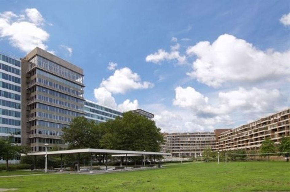 Bos en Lommerplantsoen 