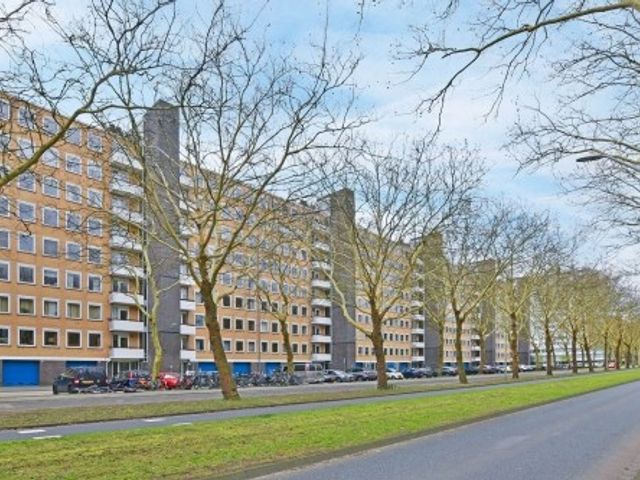 Van Nijenrodeweg , Amsterdam