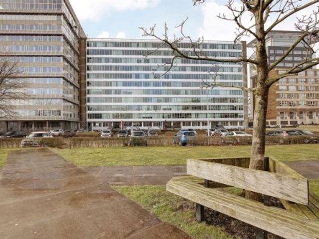 Bos en Lommerplantsoen , Amsterdam