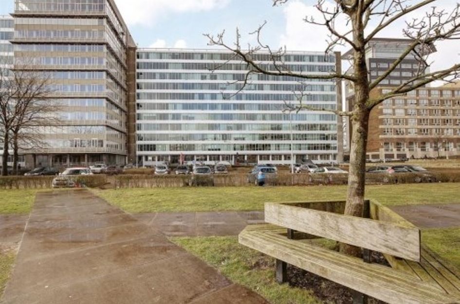 Bos en Lommerplantsoen 