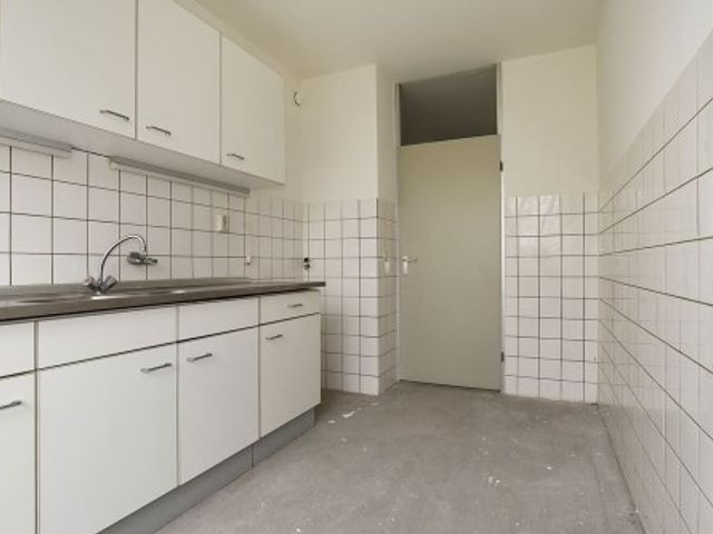 Aart van der Leeuwlaan , Delft