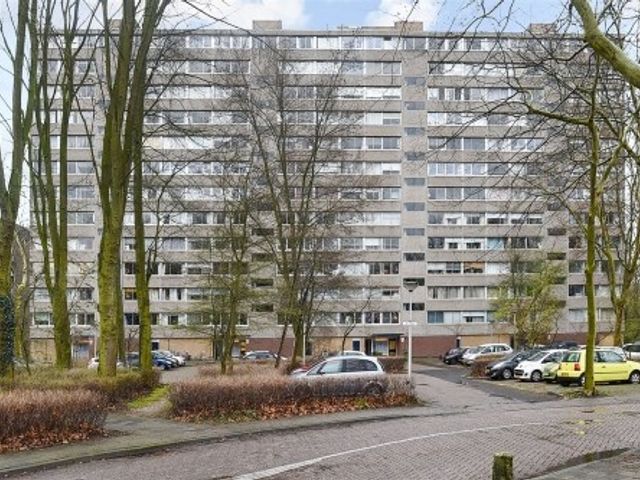 Aart van der Leeuwlaan , Delft