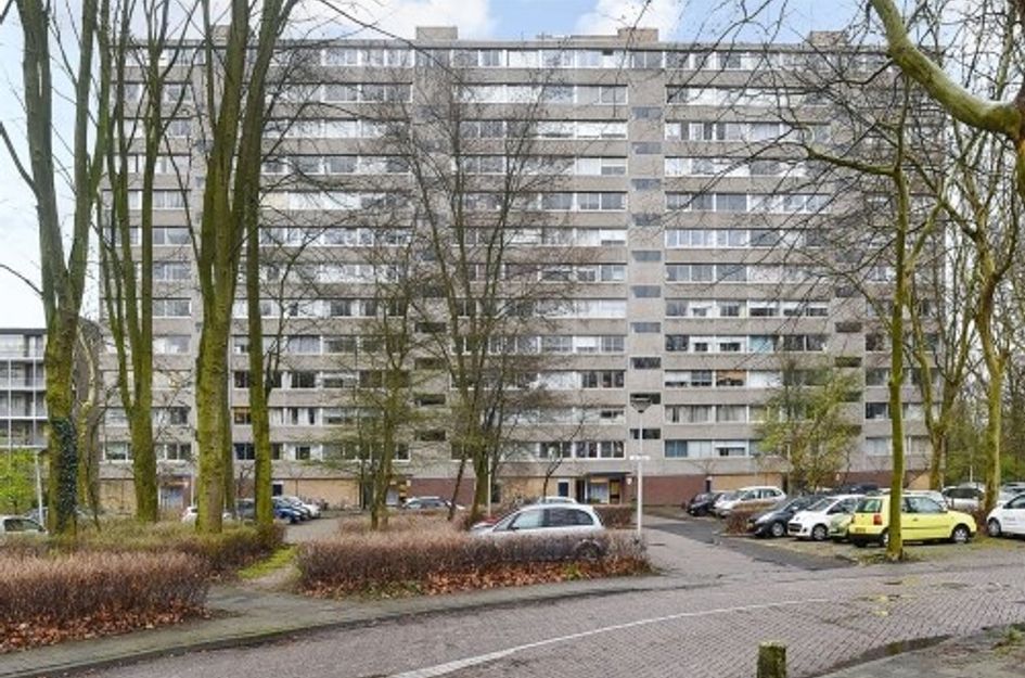 Aart van der Leeuwlaan 