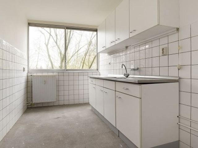 Aart van der Leeuwlaan , Delft