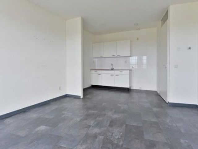 Riouwstraat , Den Haag