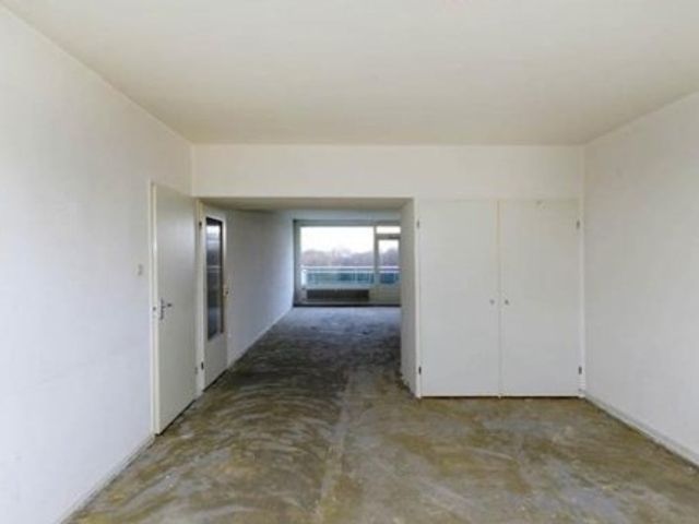 Forellendaal , Den Haag