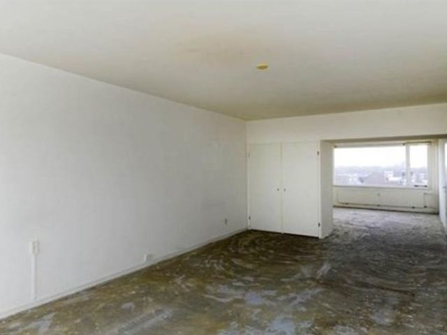 Forellendaal , Den Haag