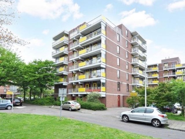 Melis Stokezijde , Den Haag