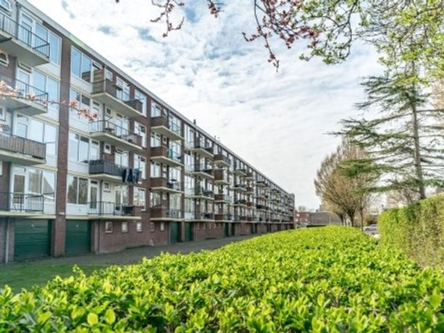 Verdistraat , Leiden