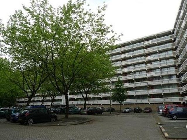 Zernikeplaats , Rotterdam